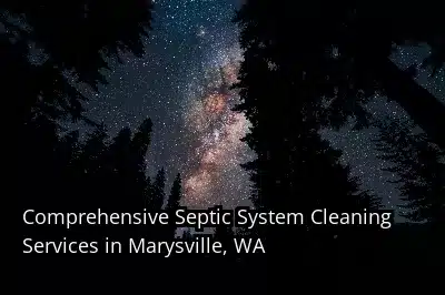 Comprehensive Septic System Cleaning Services in Marysville, WA