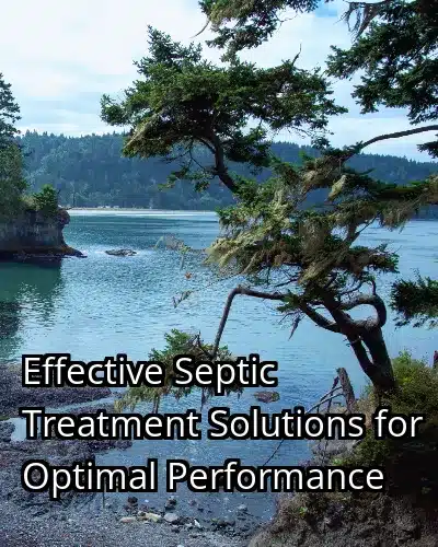 Effective Septic Treatment Solutions for Optimal Performance