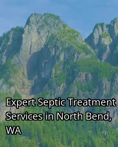 Expert Septic Treatment Services in North Bend, WA