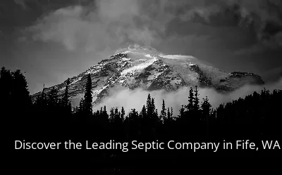 Discover the Leading Septic Company in Fife, WA