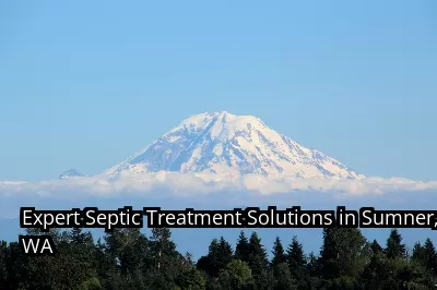 Expert Septic Treatment Solutions in Sumner, WA