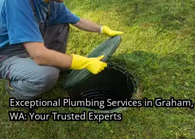 Exceptional Plumbing Services in Graham, WA: Your Trusted Experts