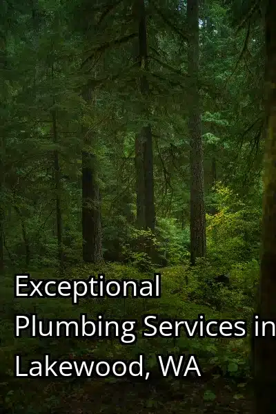 Exceptional Plumbing Services in Lakewood, WA