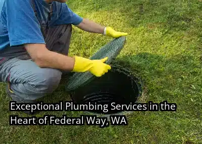 Exceptional Plumbing Services in the Heart of Federal Way, WA