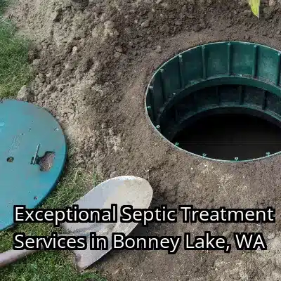 Exceptional Septic Treatment Services in Bonney Lake, WA