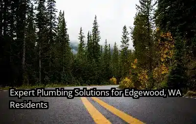 Expert Plumbing Solutions for Edgewood, WA Residents