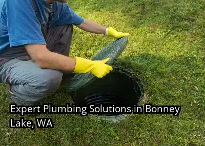 Expert Plumbing Solutions in Bonney Lake, WA