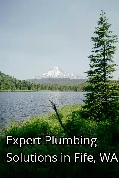 Expert Plumbing Solutions in Fife, WA