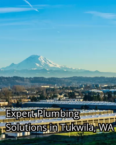 Expert Plumbing Solutions in Tukwila, WA