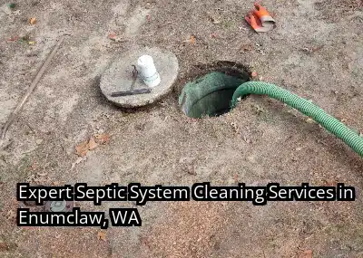 Expert Septic System Cleaning Services in Enumclaw, WA