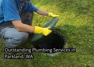 Outstanding Plumbing Services in Parkland, WA